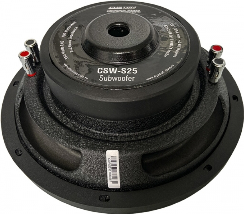 Dynamic State CUSTOM CSW-S25
